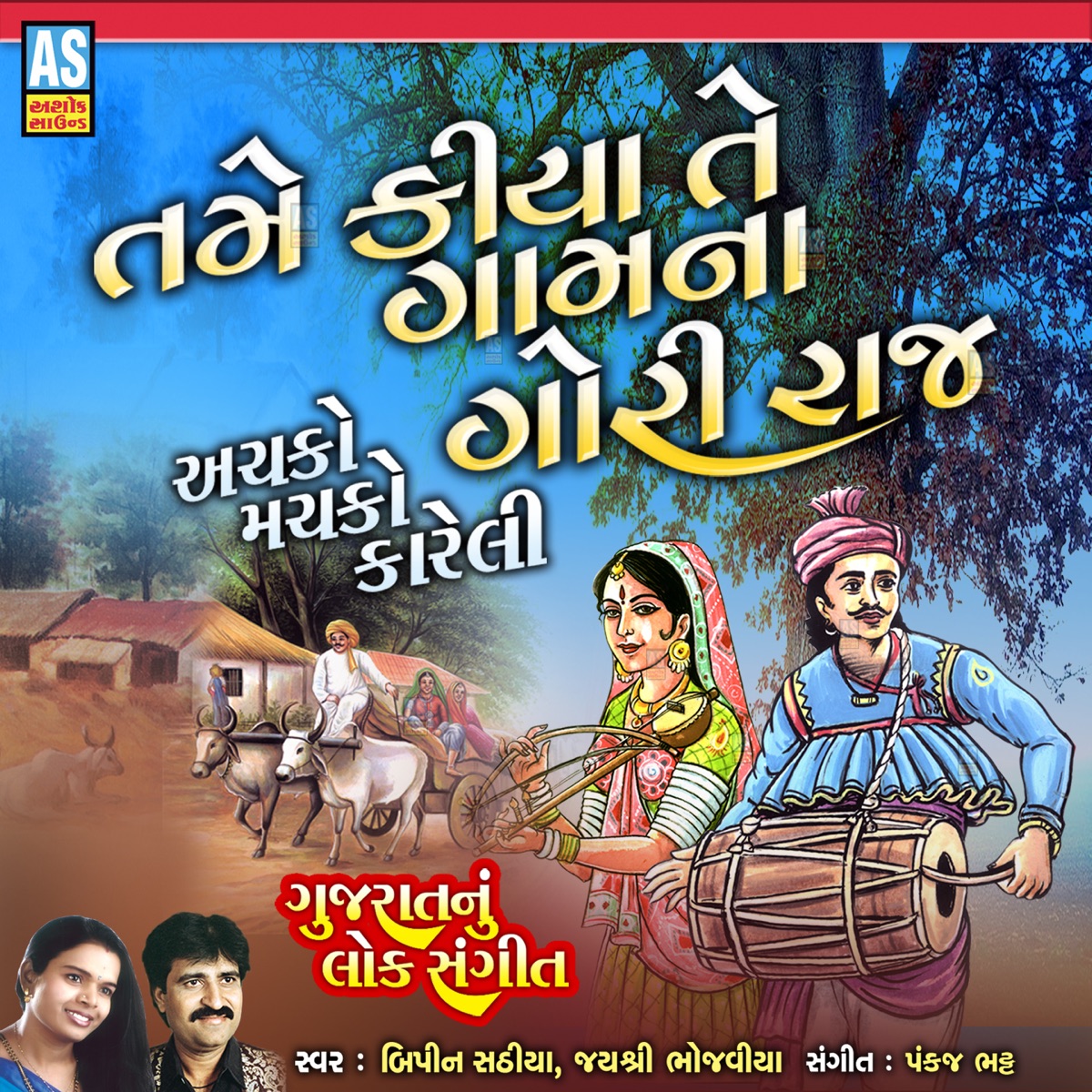 Tame Kaya Te Gam Na Gori Raj - Single by Bipin Sathiya & Jayshree Bhojaviya album cover