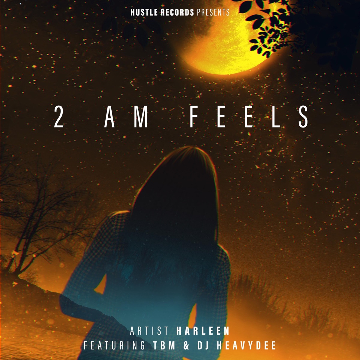 2 AM Feels (feat. TBM & DJ Heavydee) - Single by Harleen album cover