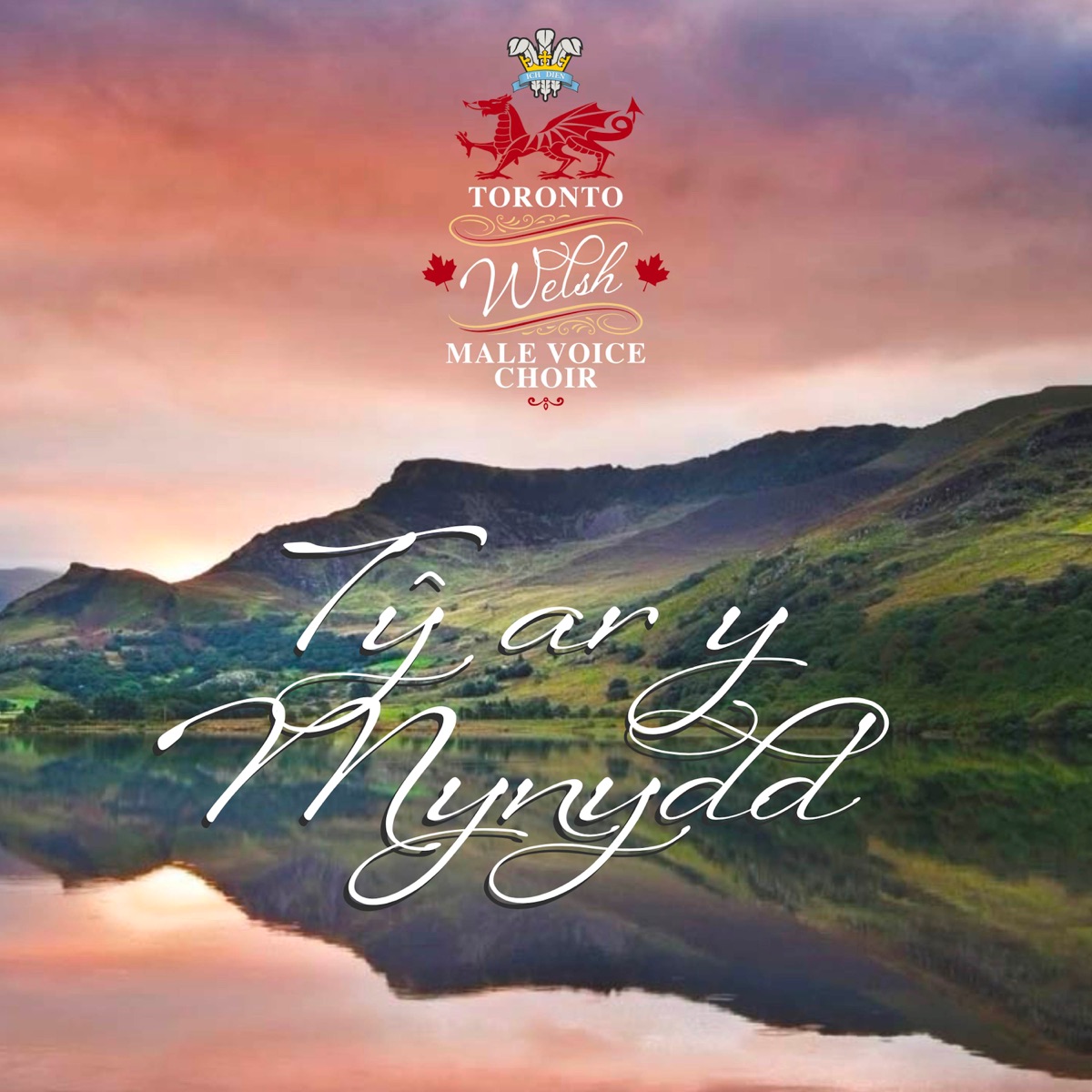 Tŷ ar y Mynydd by Toronto Welsh Male Voice Choir album cover