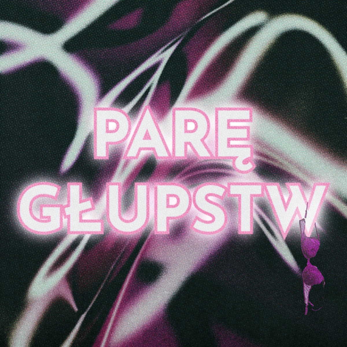 Parę Głupstw - Single by Plako Wajber album cover