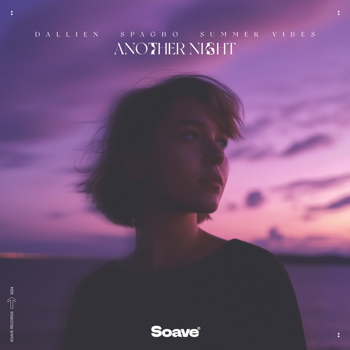 Another Night - Single by Dallien, Spagbo & Summer Vibes album cover