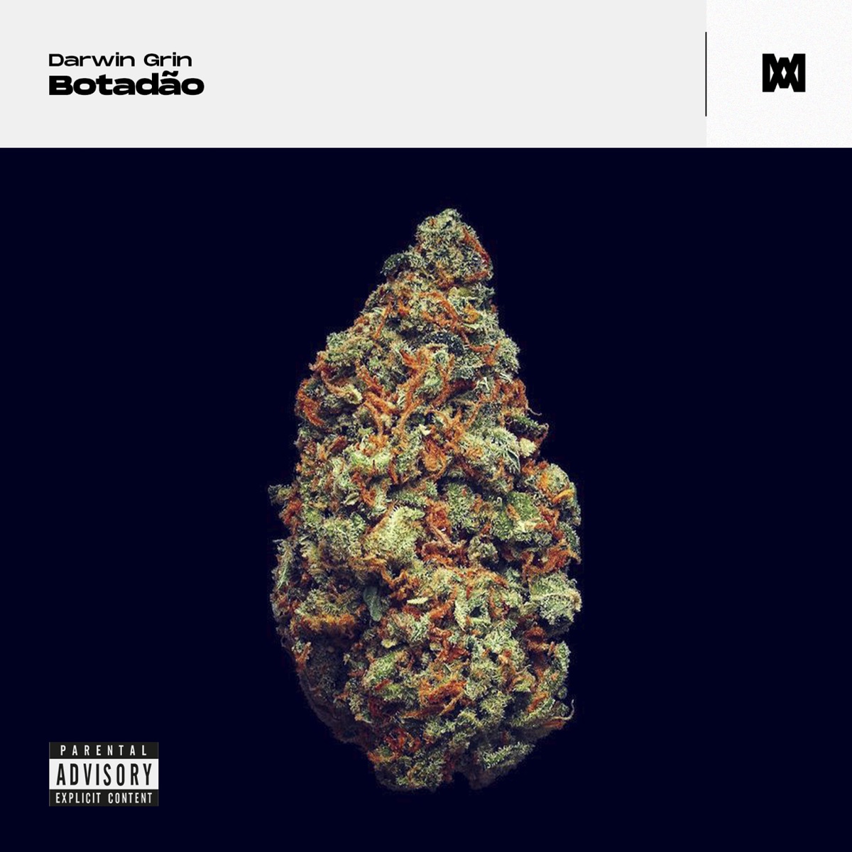 Botadão - Single by Darwin Grin album cover