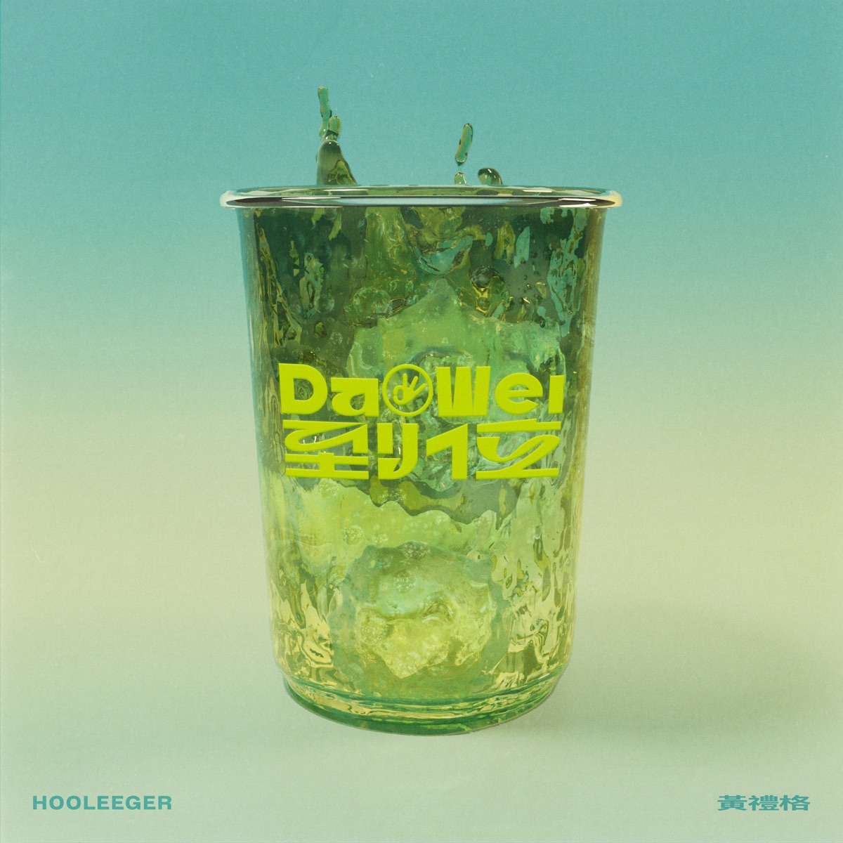 On Fleek by Hooleeger album cover