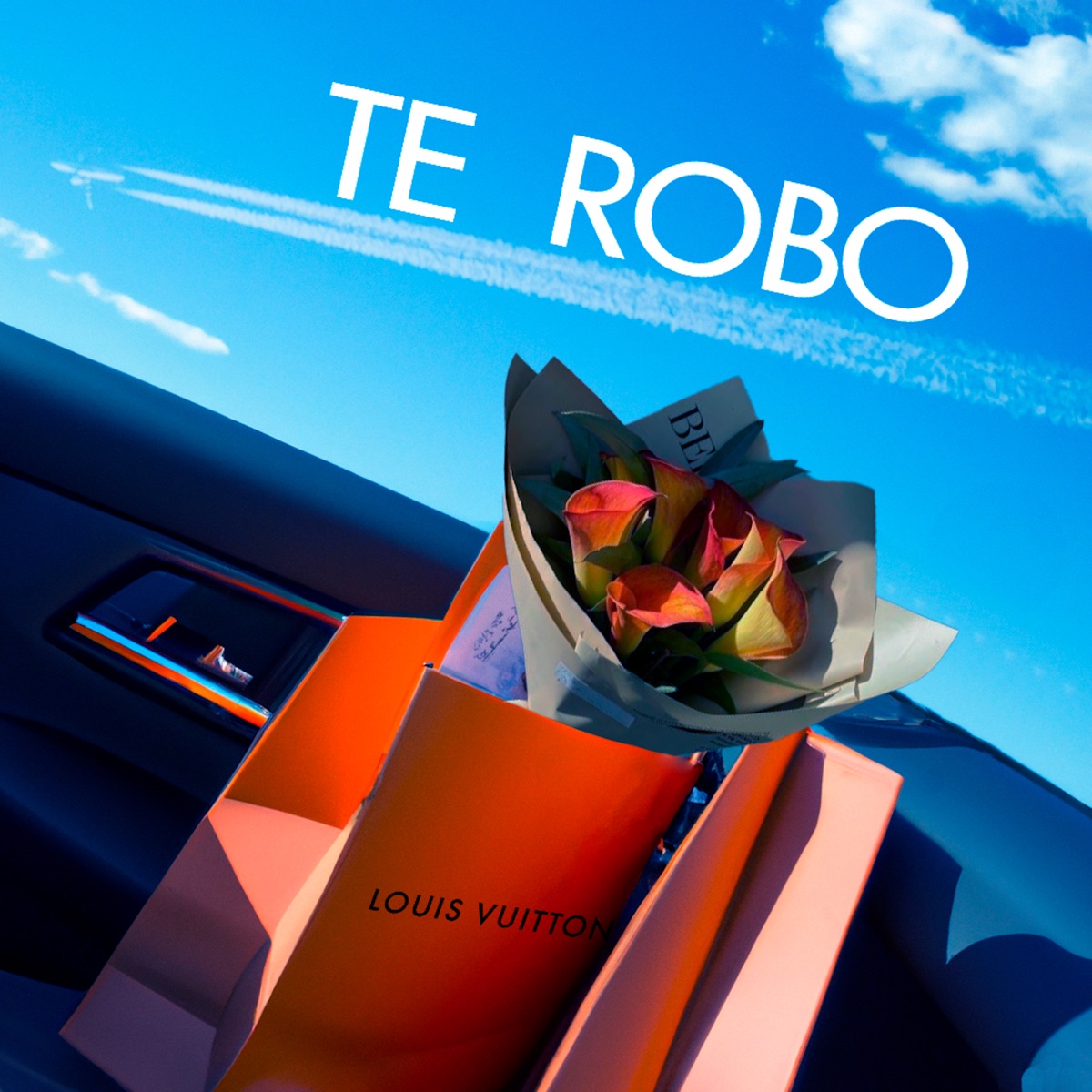Te robo - Single by Aissa album cover