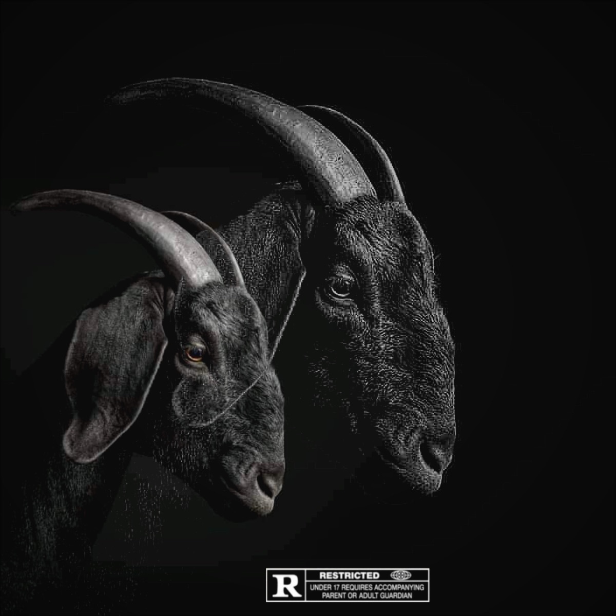 Sizophumelela - Single by SawceGawd & The Real Kaytee album cover