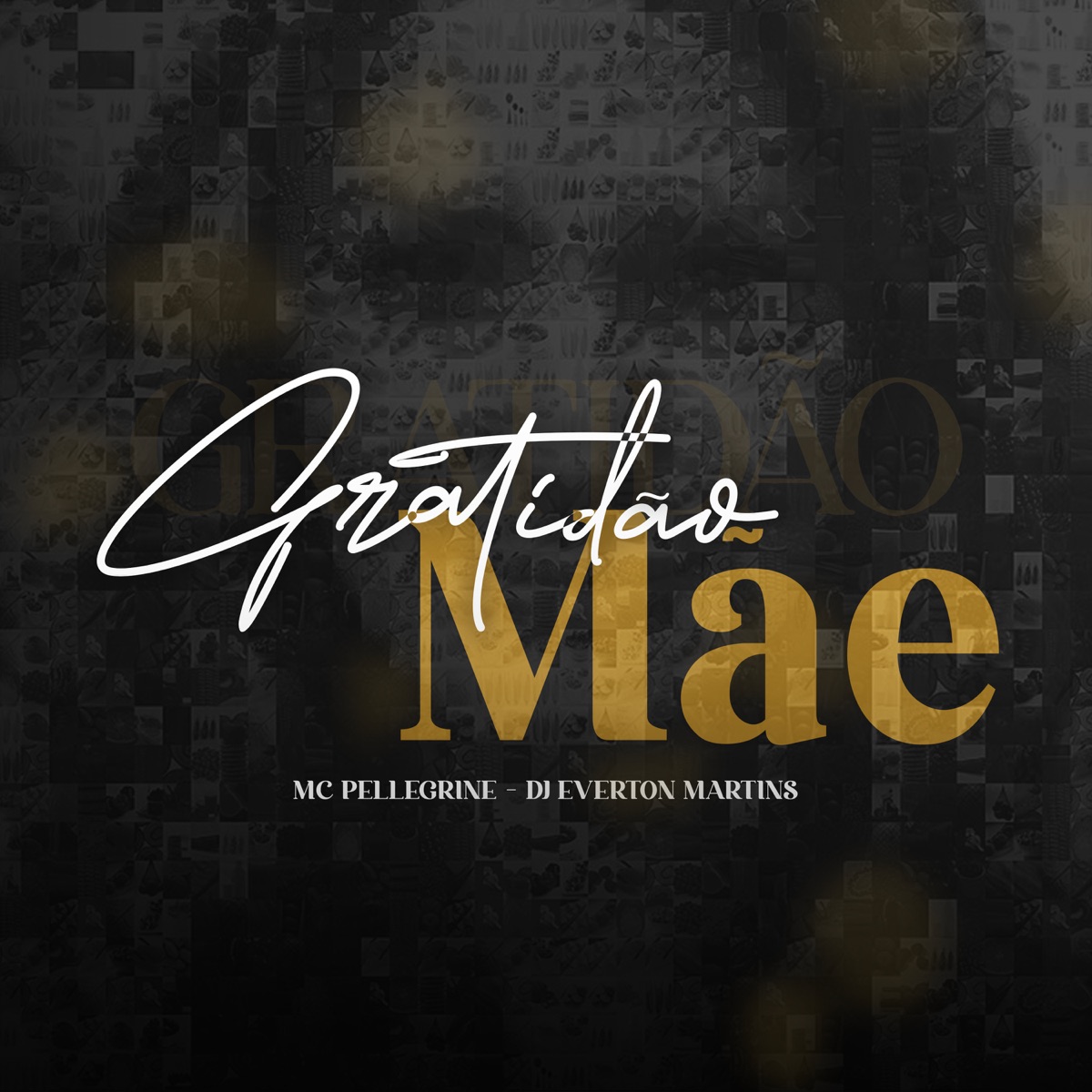 Gratidão Mãe - Single by Mc Pellegrine & DJ Everton Martins album cover