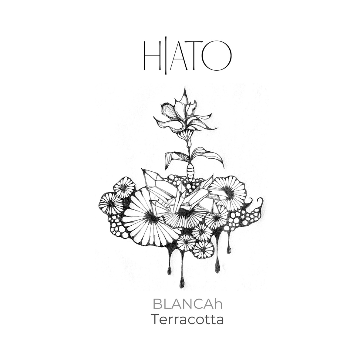 Terracotta - Single by Blancah album cover