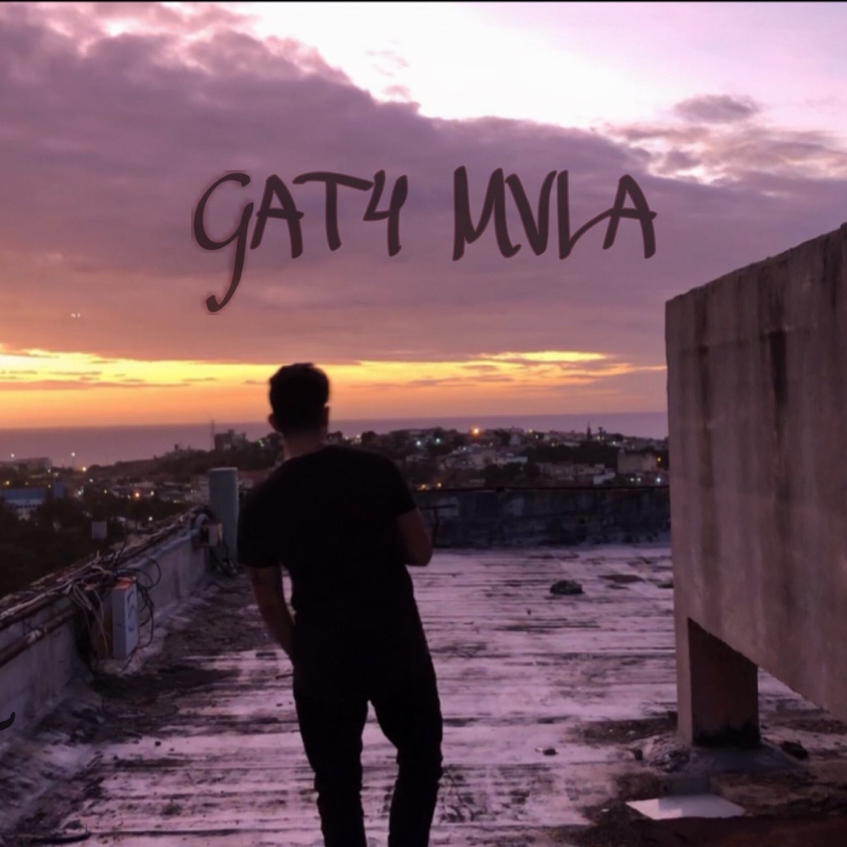 GAT4 MVLA - Single by Pauer album cover