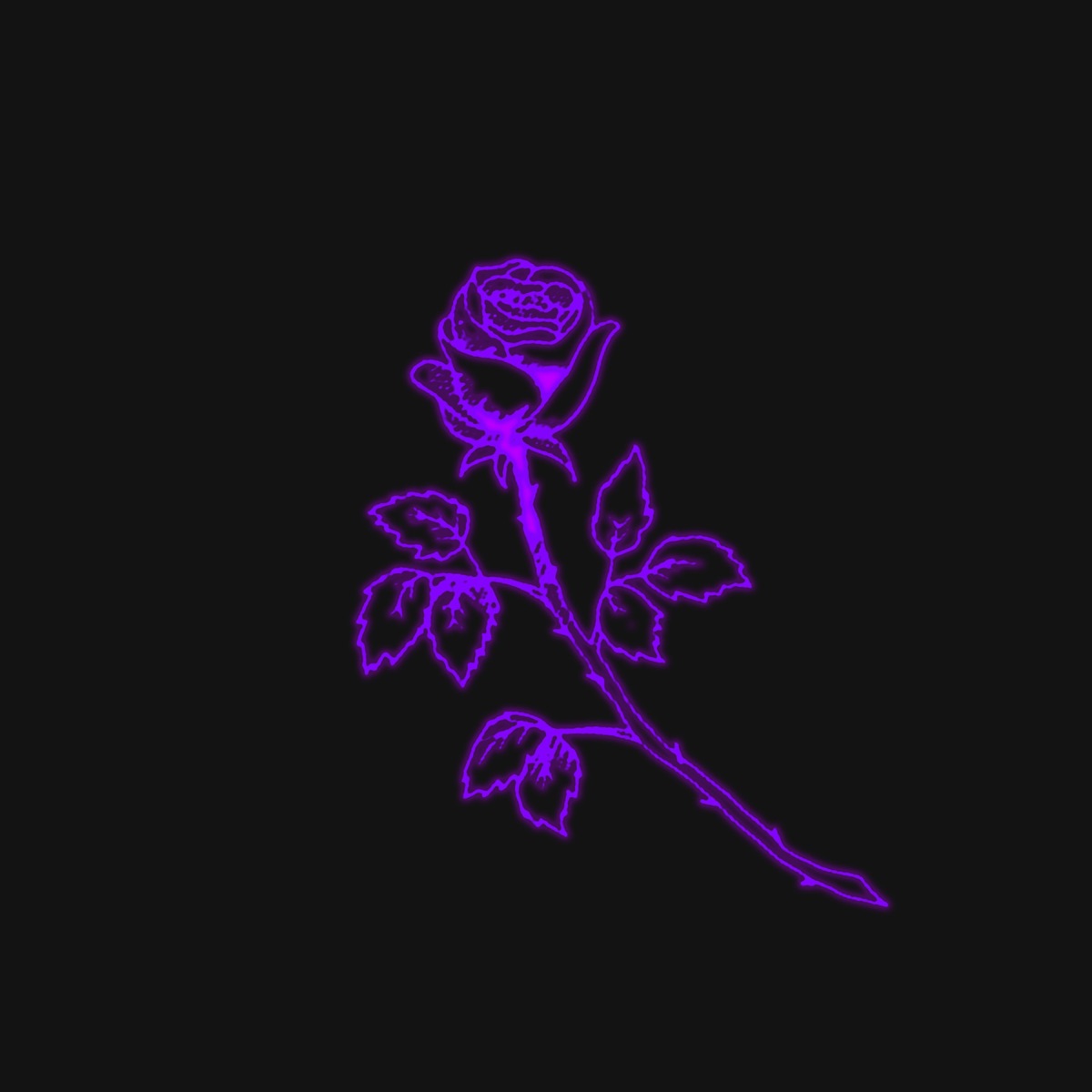 Funeral - Single by Vitale Fame album cover