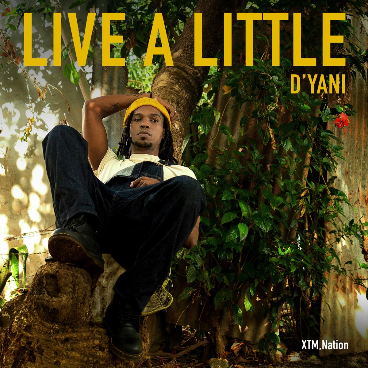 Live a Little - Single by D'yani album cover