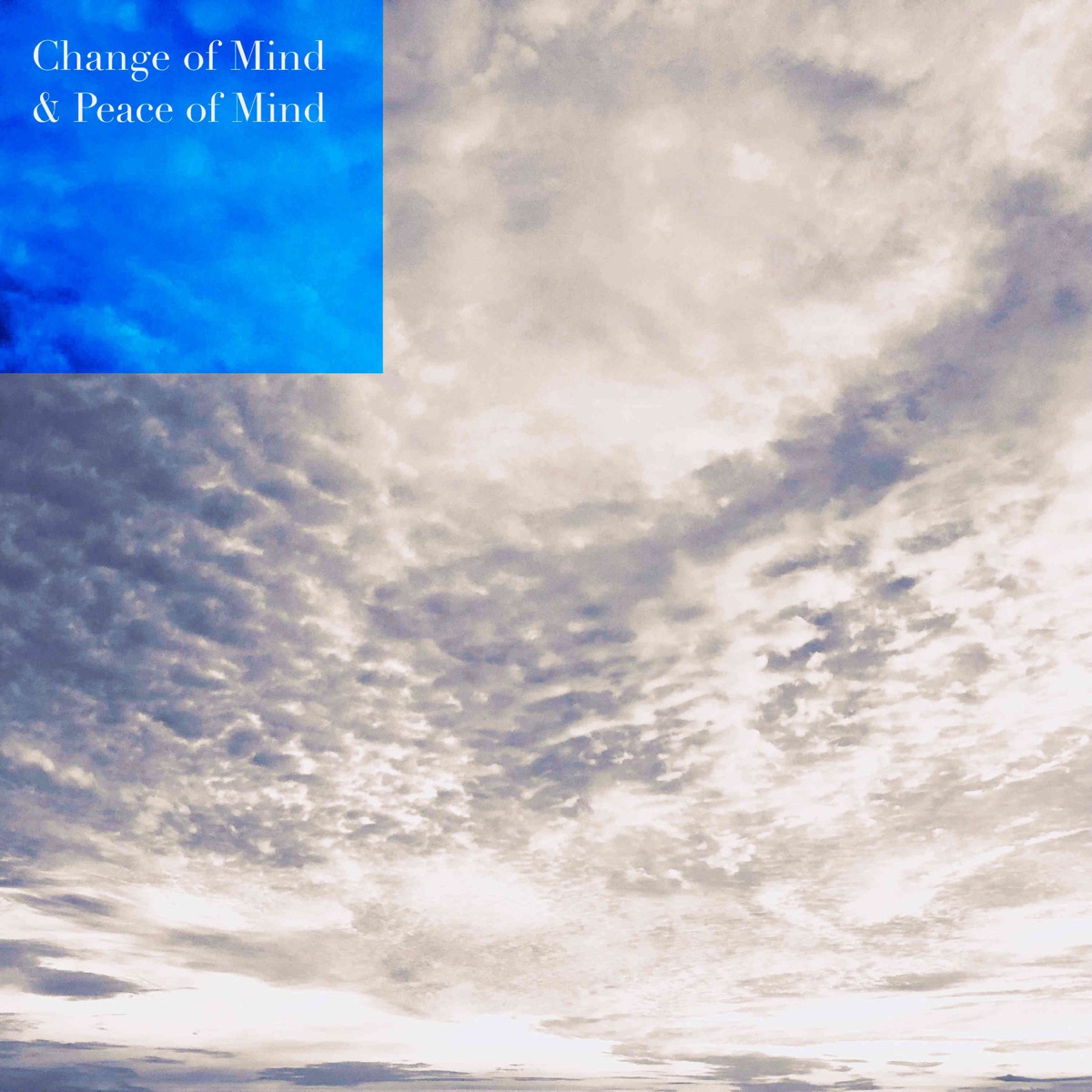 Change of Mind / Peace of Mind - Single by Jakob Gerhardt & Jazzy James album cover