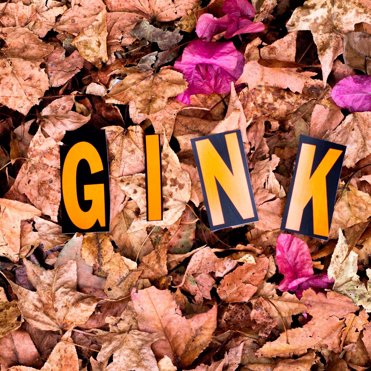 Gink - Single by Shadow Gangz album cover