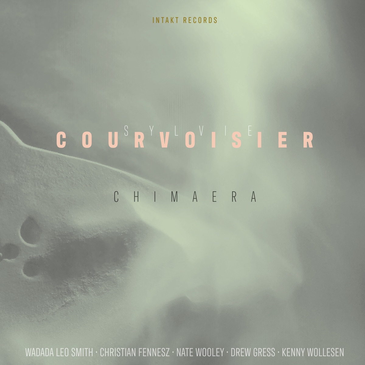 Chimaera (feat. Wadada Leo Smith, Christian Fennesz, Nate Wooley, Drew Gress & Kenny Wollesen) by Sylvie Courvoisier album cover