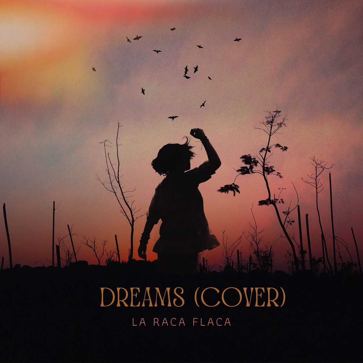 Dreams (Cover) - Single by La Raca Flaca album cover