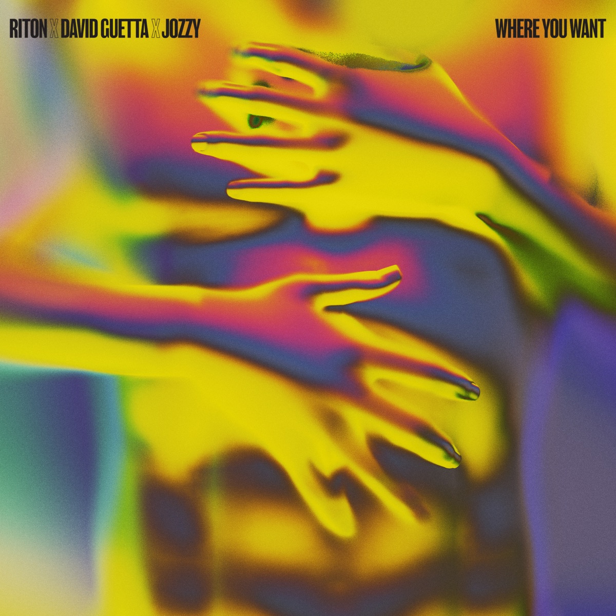 Where You Want - Single by Riton, David Guetta & Jozzy album cover