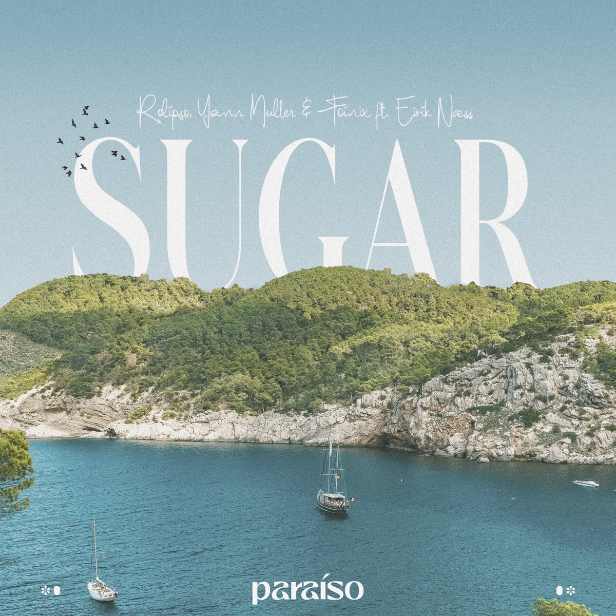 Sugar (feat. Eirik Næss) - Single by Rolipso, Yann Muller & Foínix album cover