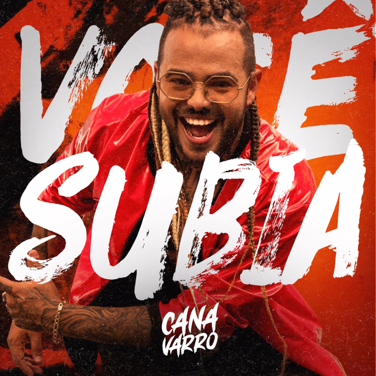Você Subia - Single by Canavarro album cover