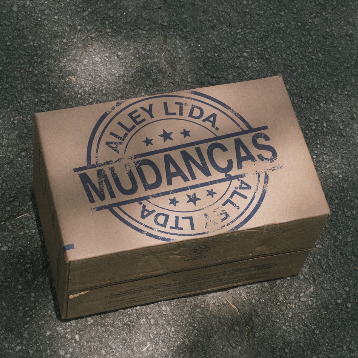 Mudanças - Single by Alley & BTT album cover
