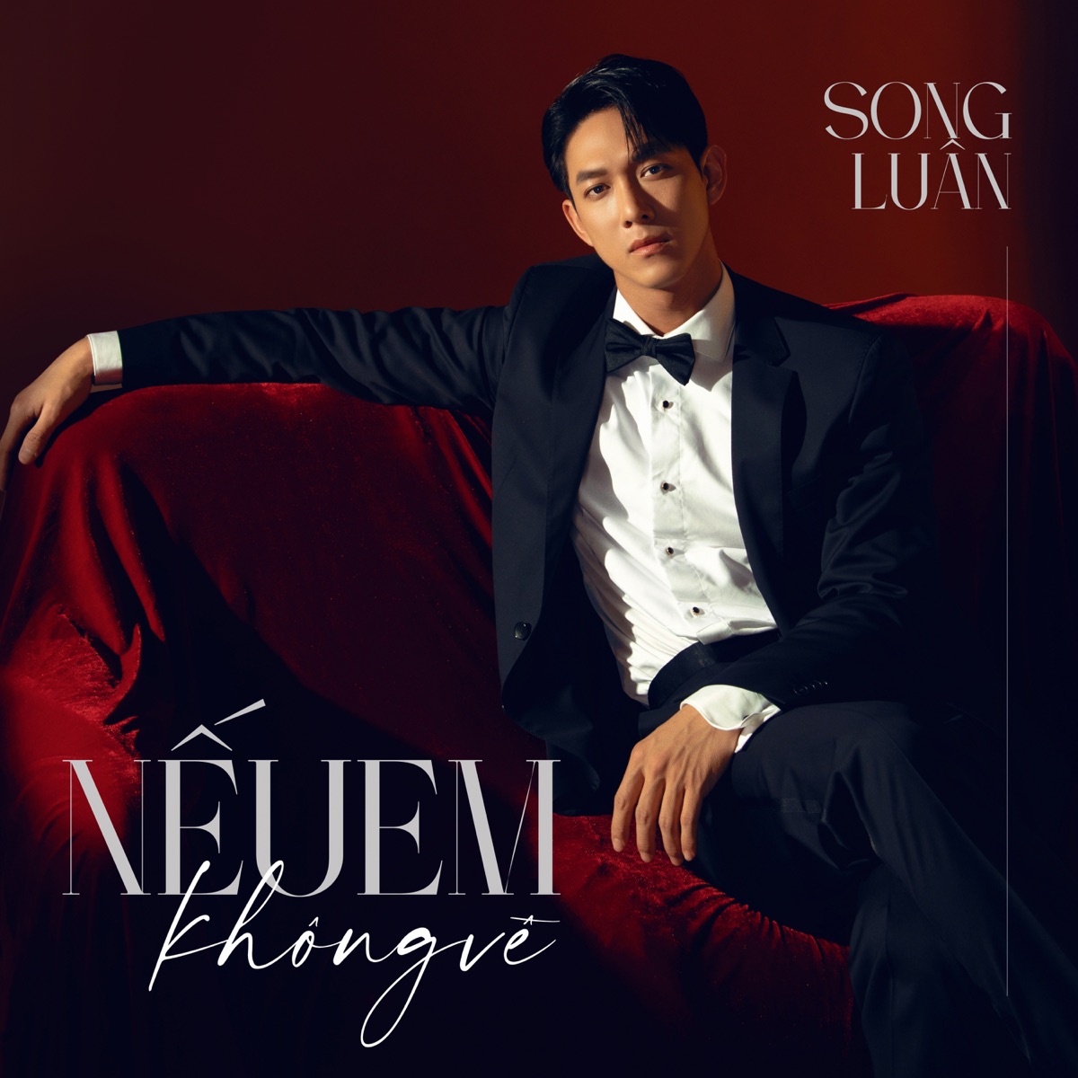Nếu Em Không Về - Single by Song Luân album cover