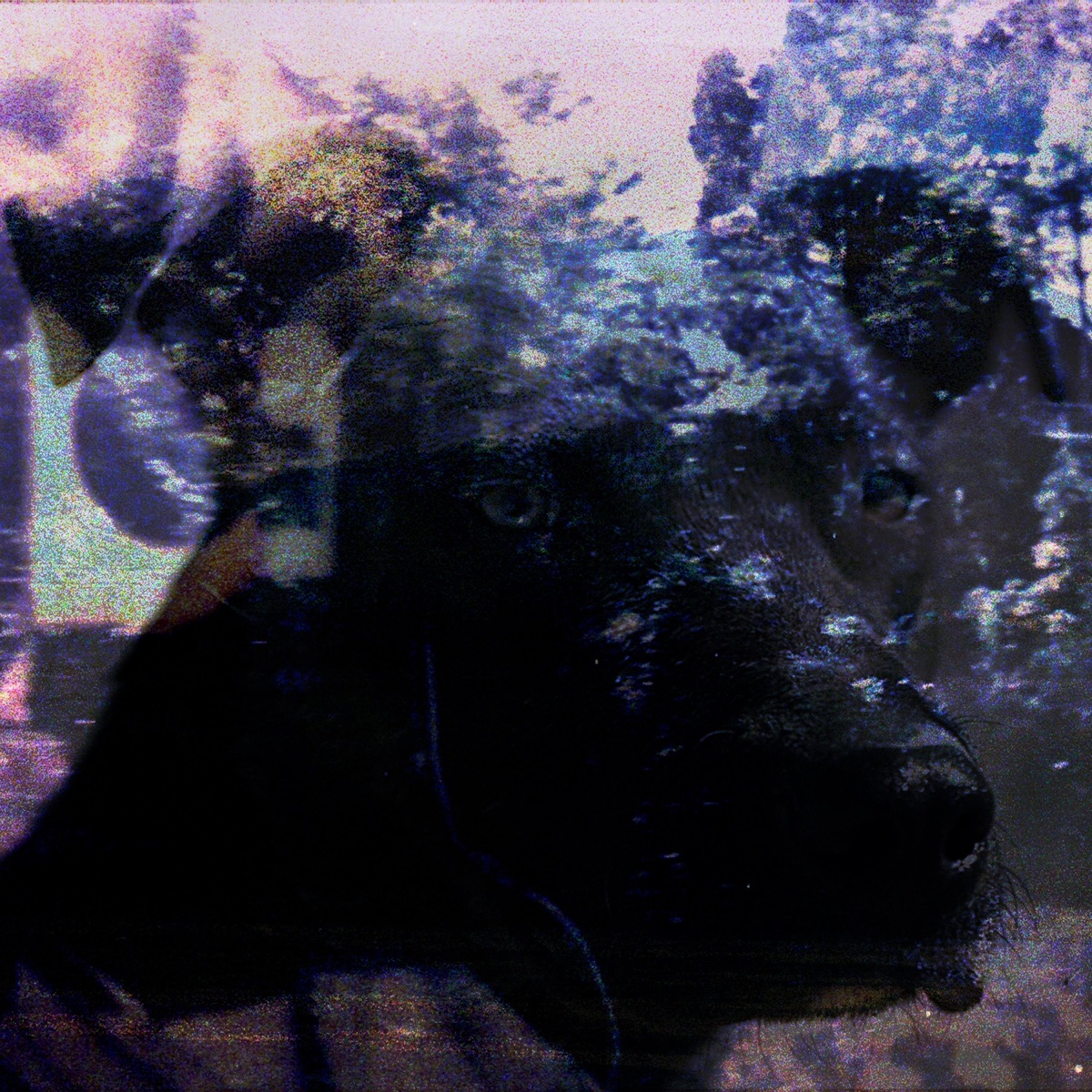 Midnight Souls (Broken Lip Remix) - Single by Cosmicdeal album cover