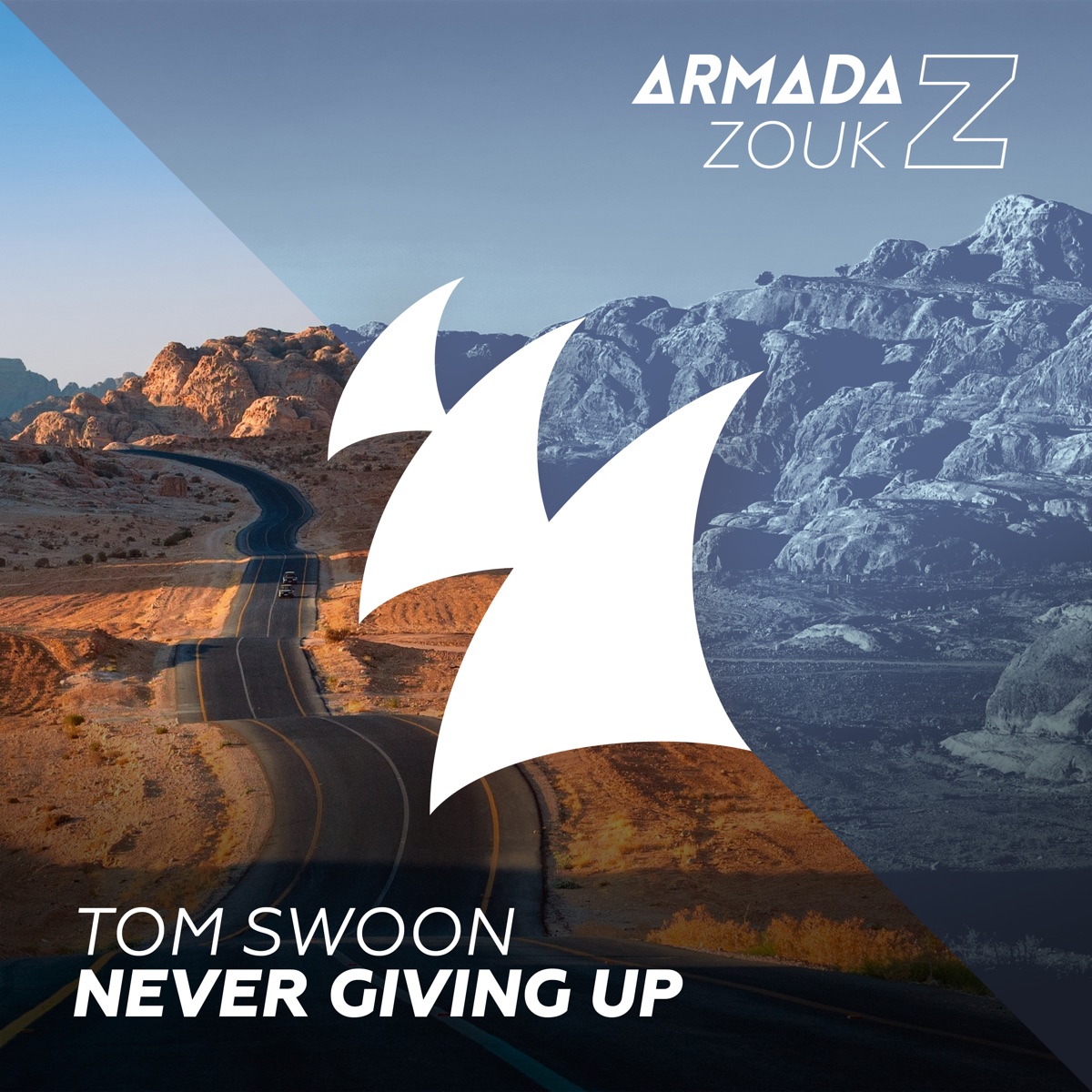 Never Giving Up - Single by Tom Swoon album cover