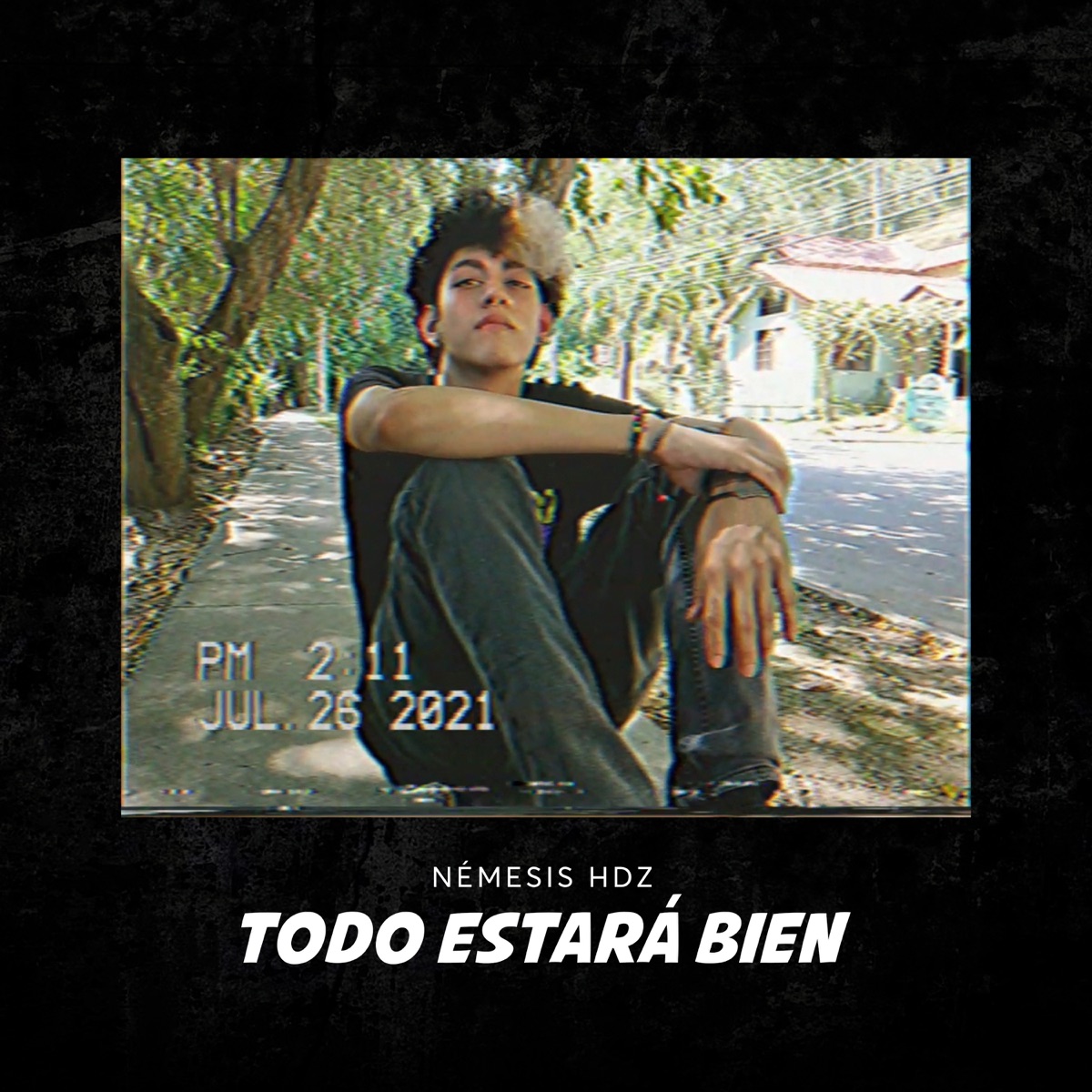 Todo Estará Bien - Single by Némesis HDZ album cover