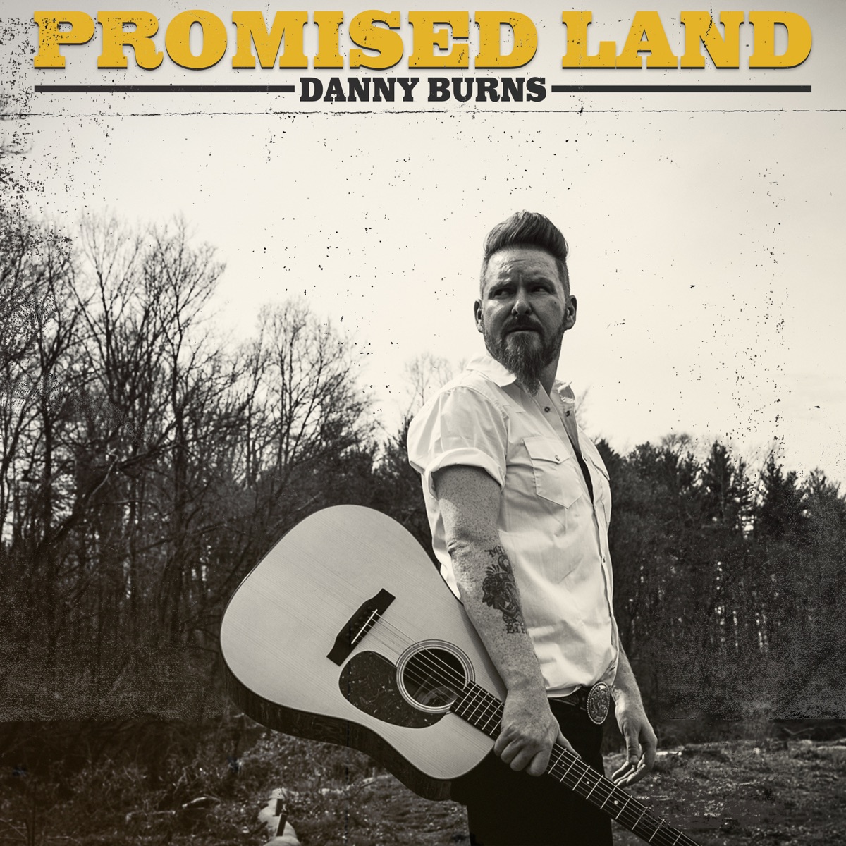 Promised Land by Danny Burns album cover
