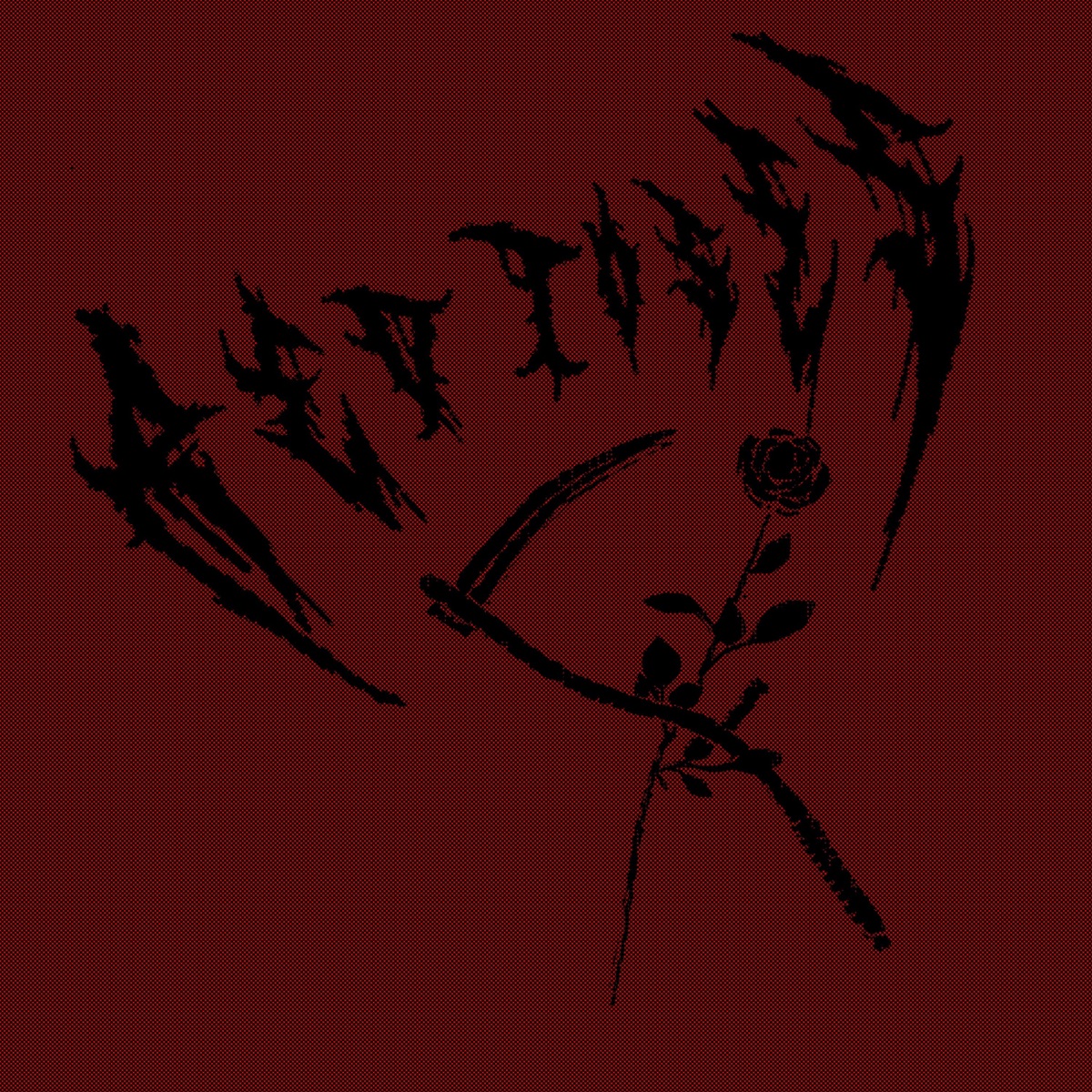 Red Roses - Single by Kotyzado_ album cover