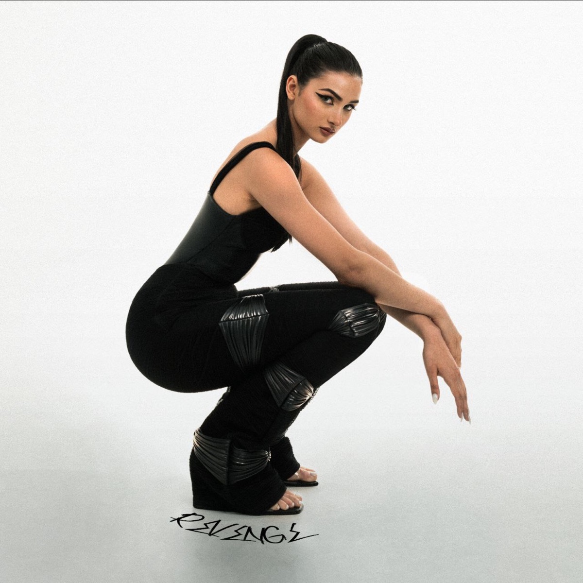 Revenge - Single by Ignes album cover