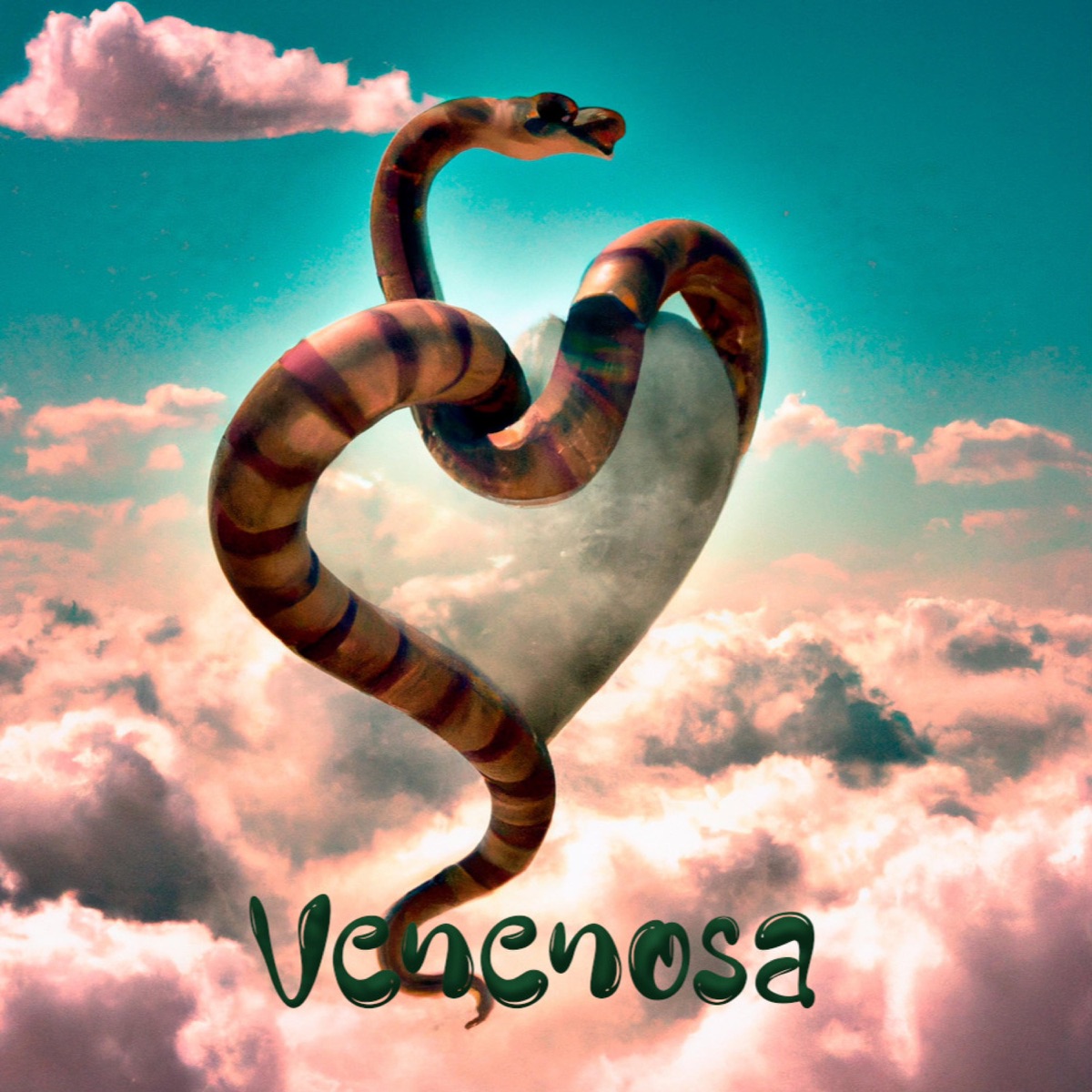 Venenosa - Single by Mati PRM album cover