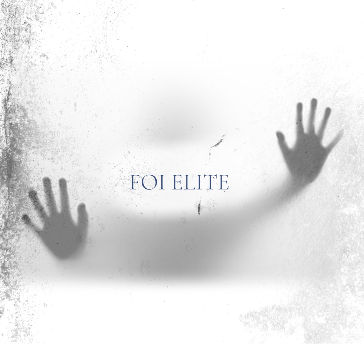 Foi Elite (feat. MC dk 011) - Single by Vzkoficiall album cover