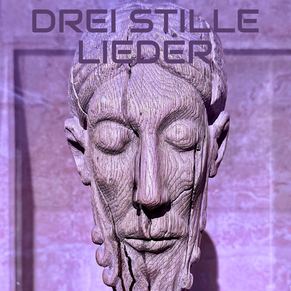 DREI STILLE LIEDER - Single by Jacob Ter Veldhuis album cover