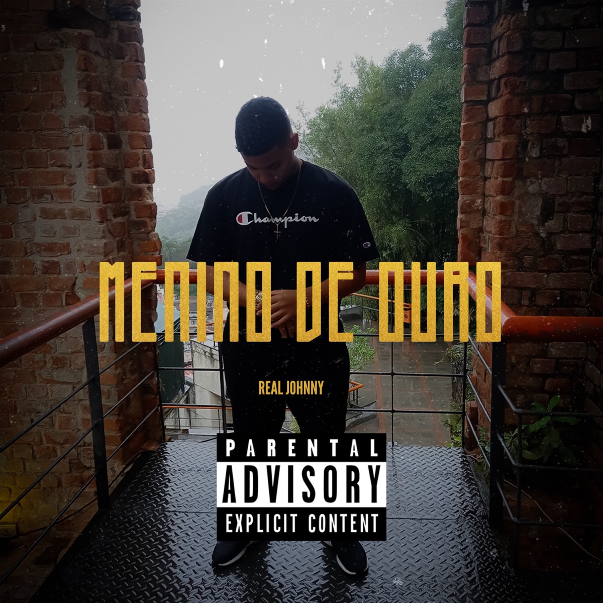 Menino de Ouro - Single by Real Johnny album cover