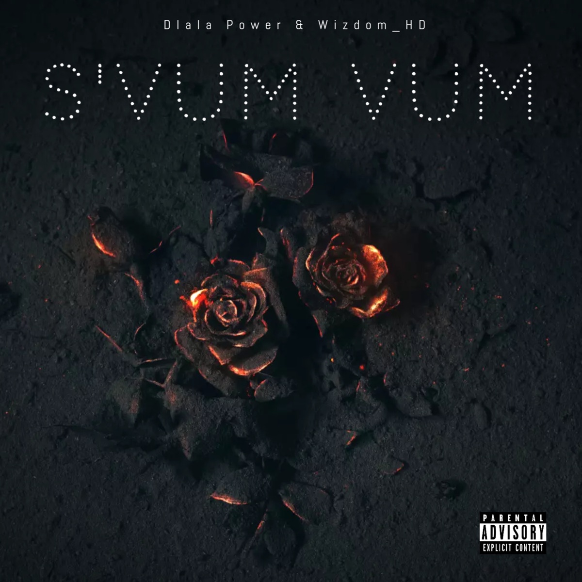 S'Vum Vum - Single by Dlala Power & Wizdomhd album cover