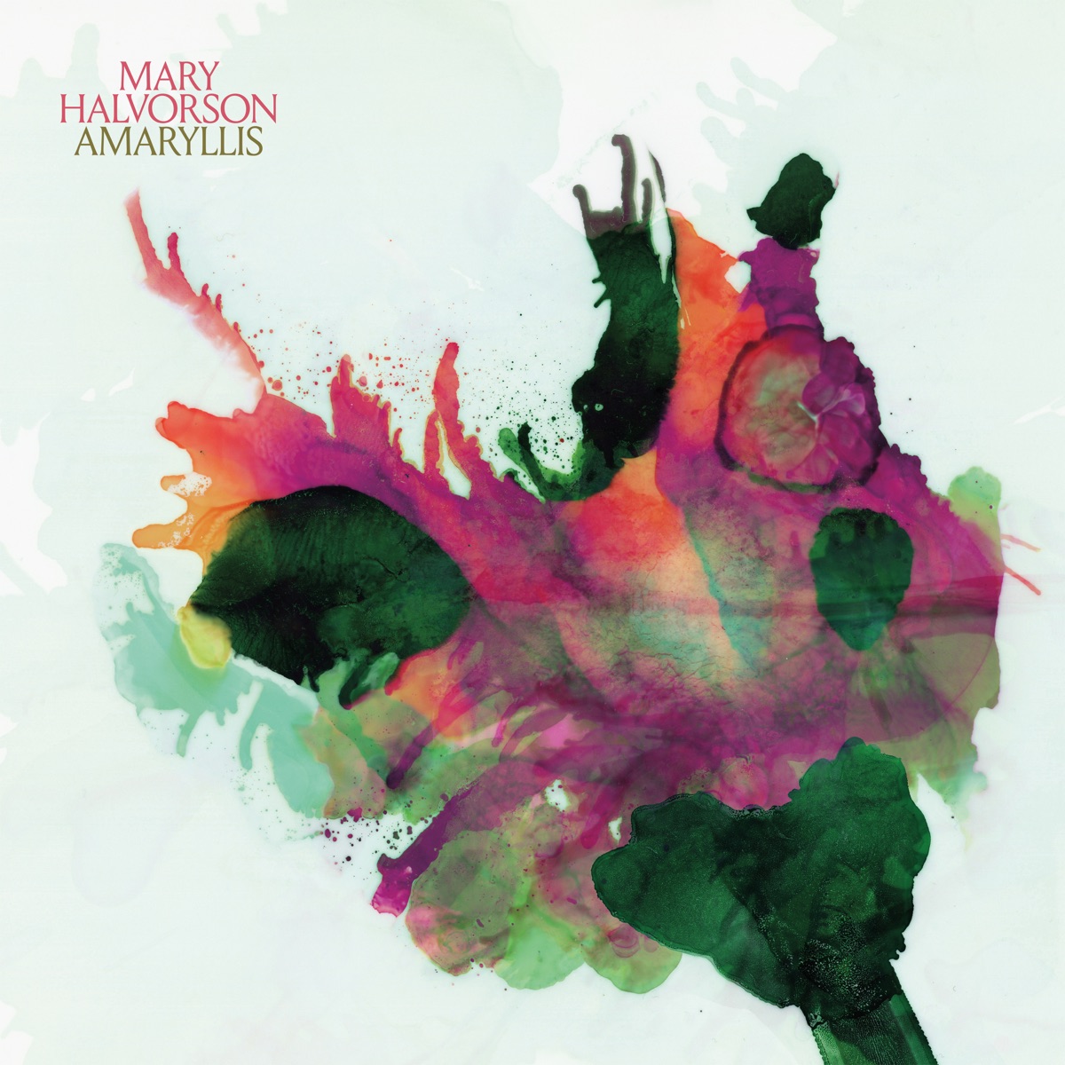 Amaryllis by Mary Halvorson album cover