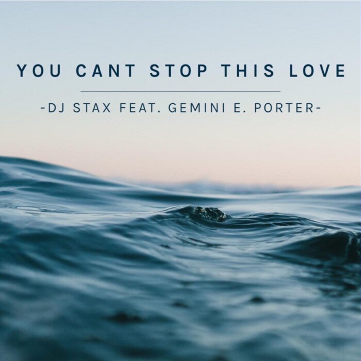 You Cant Stop This Love (feat. Gemini E Porter) - Single by DJ Stax album cover