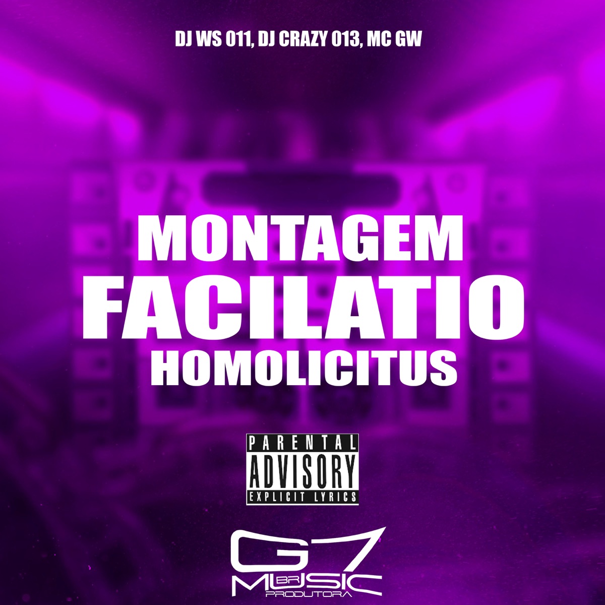 Montagem Facilatio Homolicitus - Single by DJ WS 011 & DJ CRAZY 013 album cover
