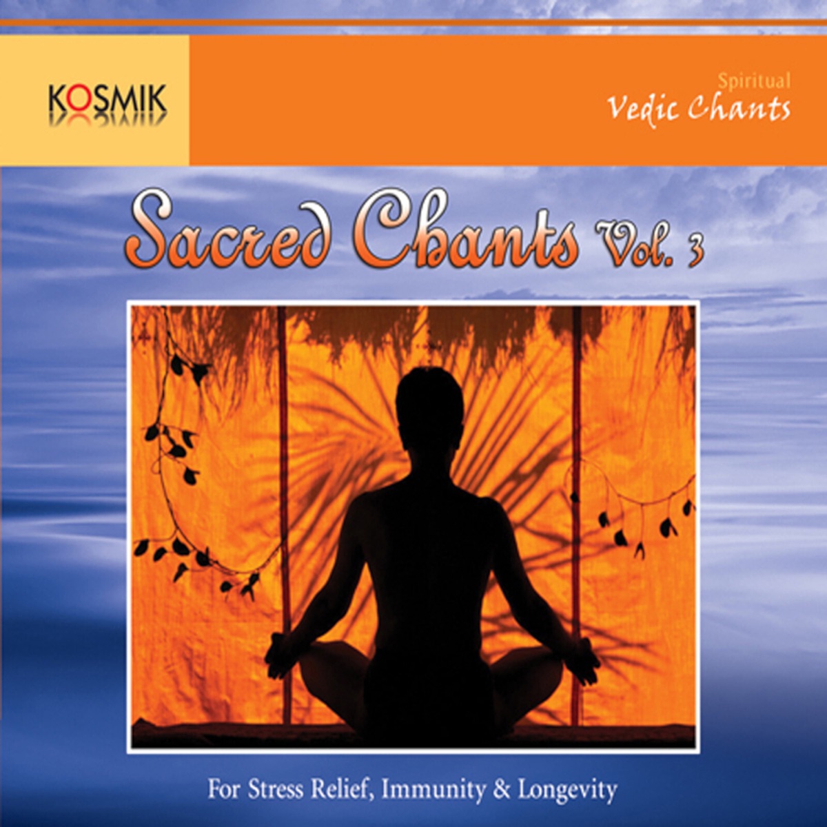 Sacred Chants Vol. 3 by Stephen Devassy album cover