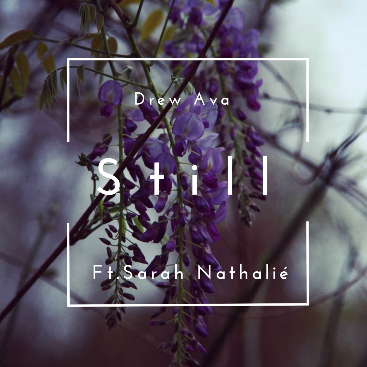 Still - Single (feat. Sarah Nathalié) - Single by Drew Ava album cover