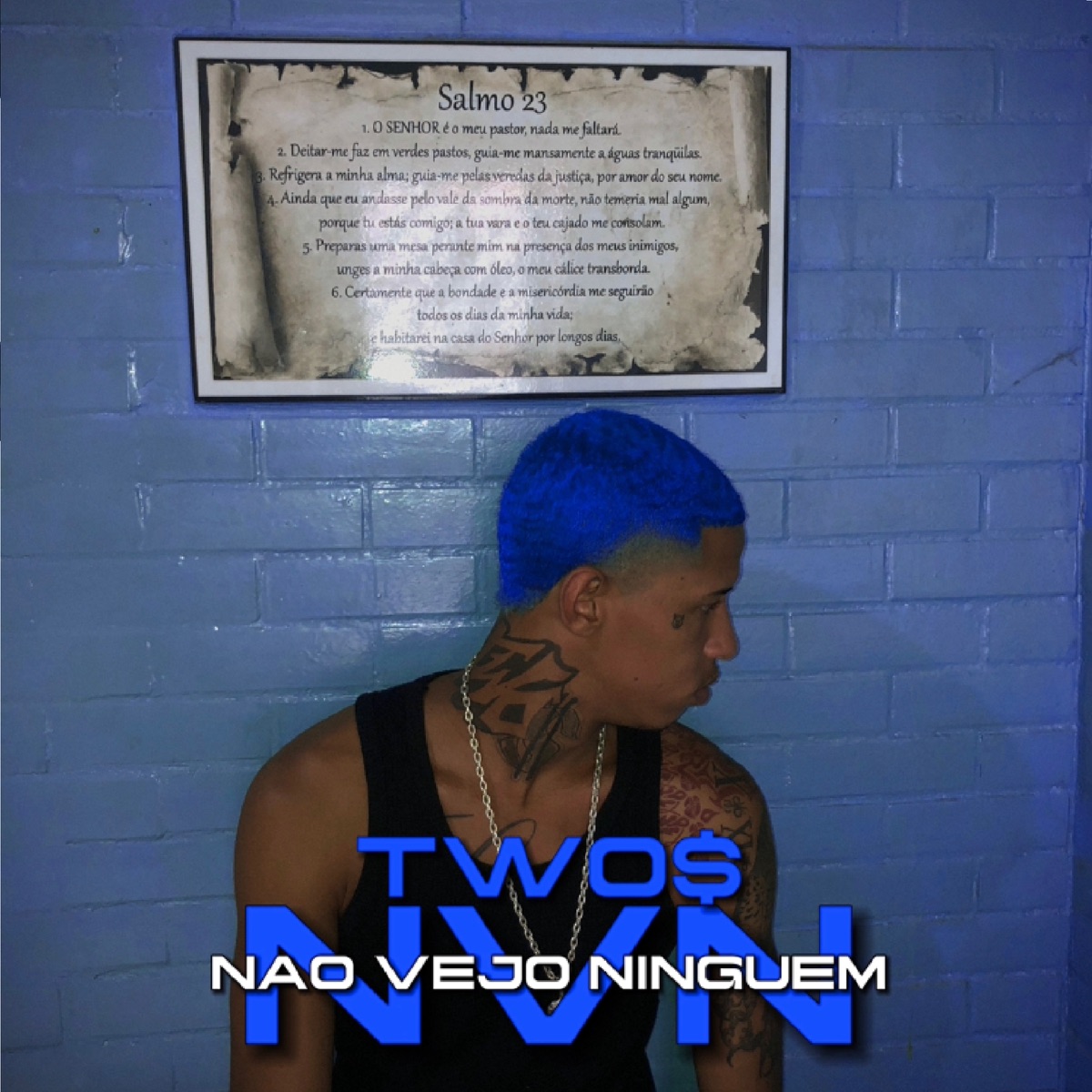 Não Vejo Ninguém - Single by Two$ album cover