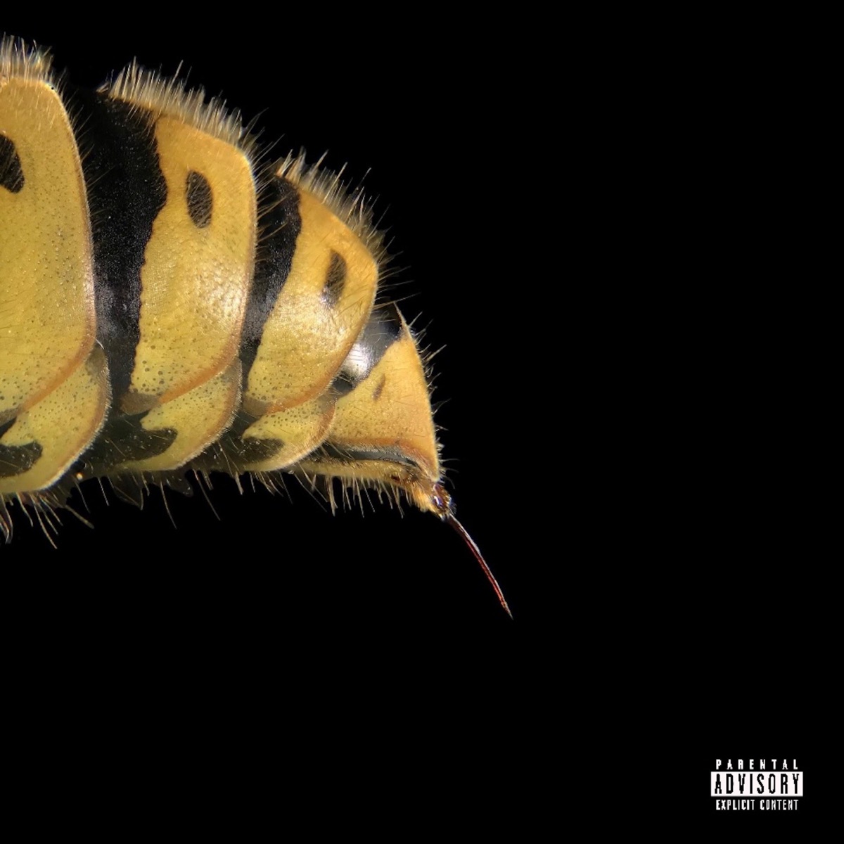 This May Sting! by 2nd Generation Wu & Dom Archey album cover