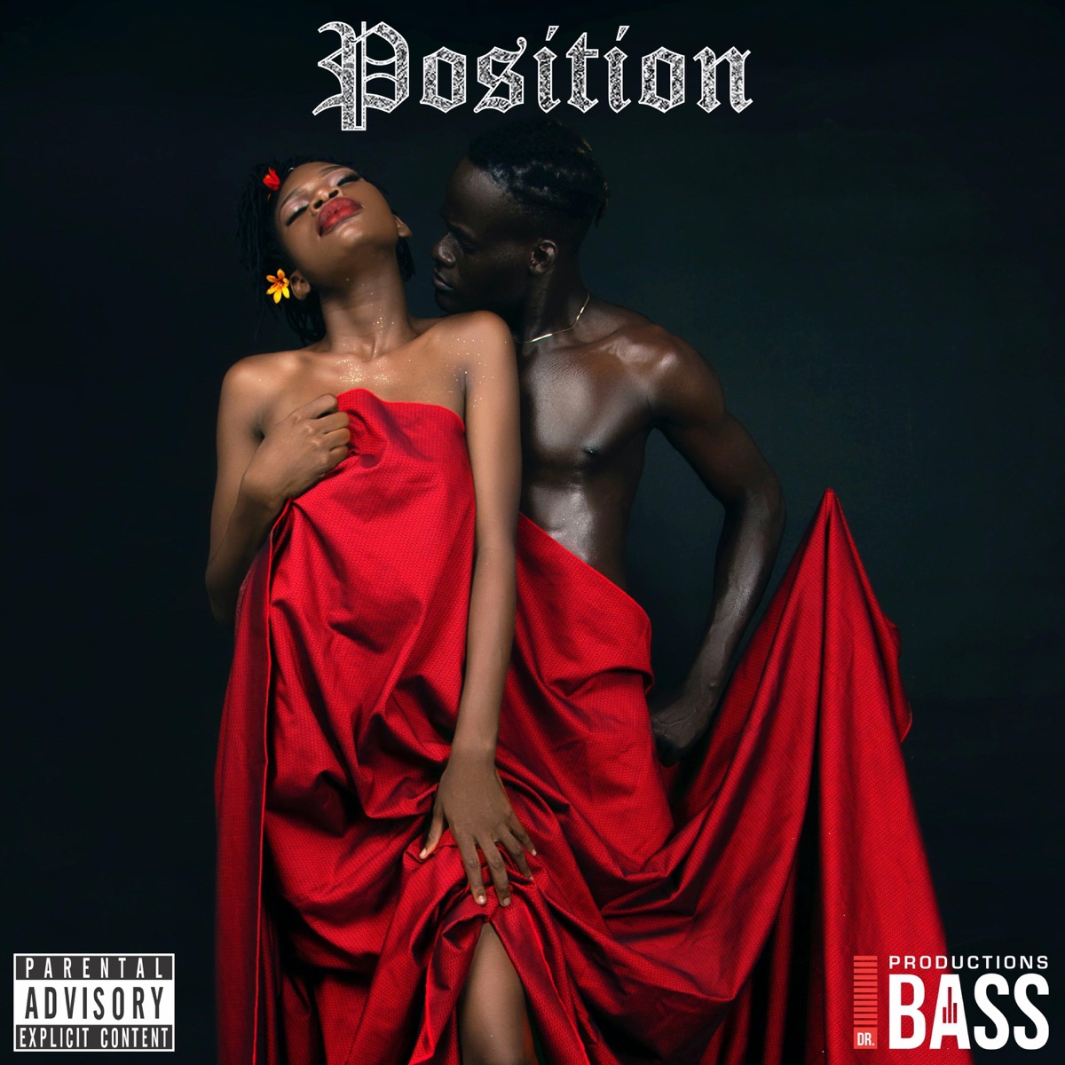 Position (feat. Marcovict) - Single by Dr. Bass album cover