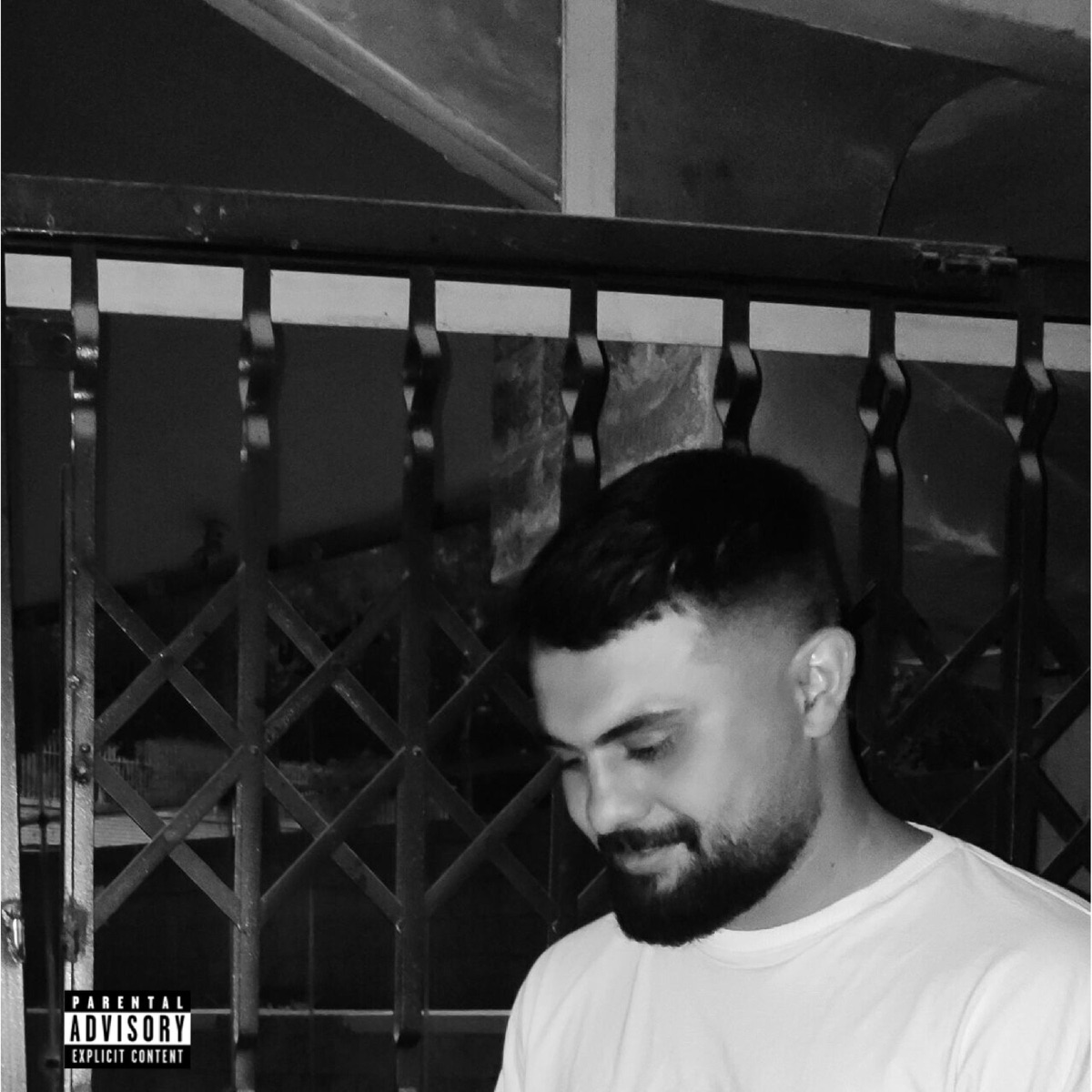 Factors - Single by omid yaghi album cover