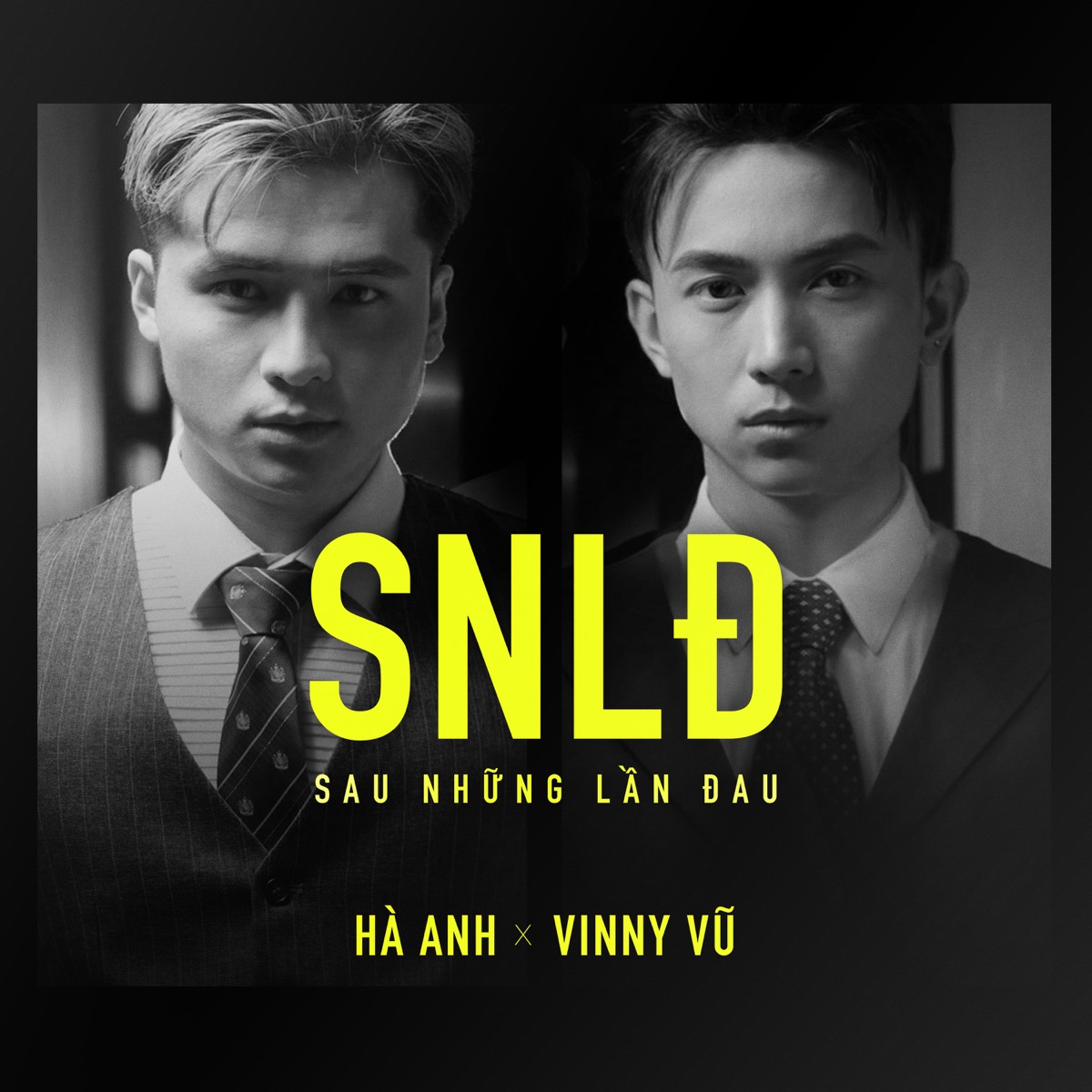 Sau Những Lần Đau - Single by Ha Anh & Vinny Vu album cover