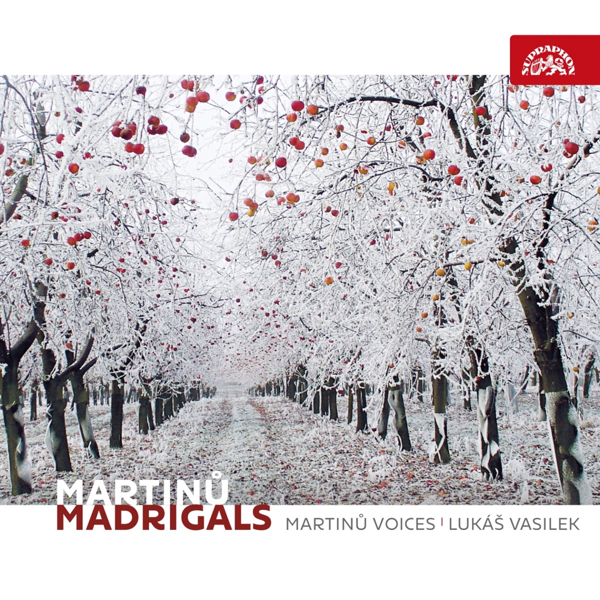 Martinů: Madrigals by Martinů Voices, Grazyna Biernot, Jakub Fišer, Lukas Vasilek & Karel Košárek album cover
