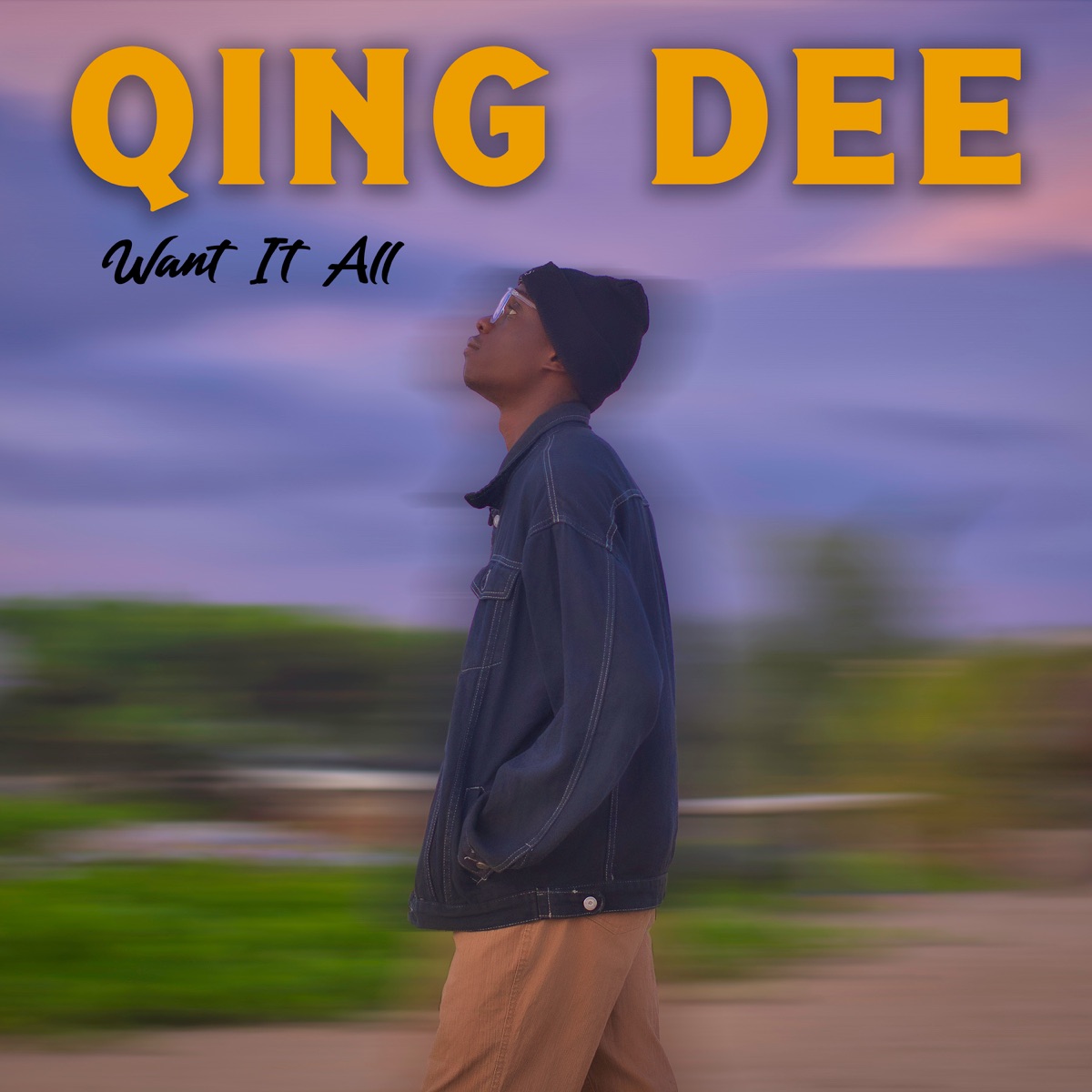 Want It All - Single by Qing Dee album cover