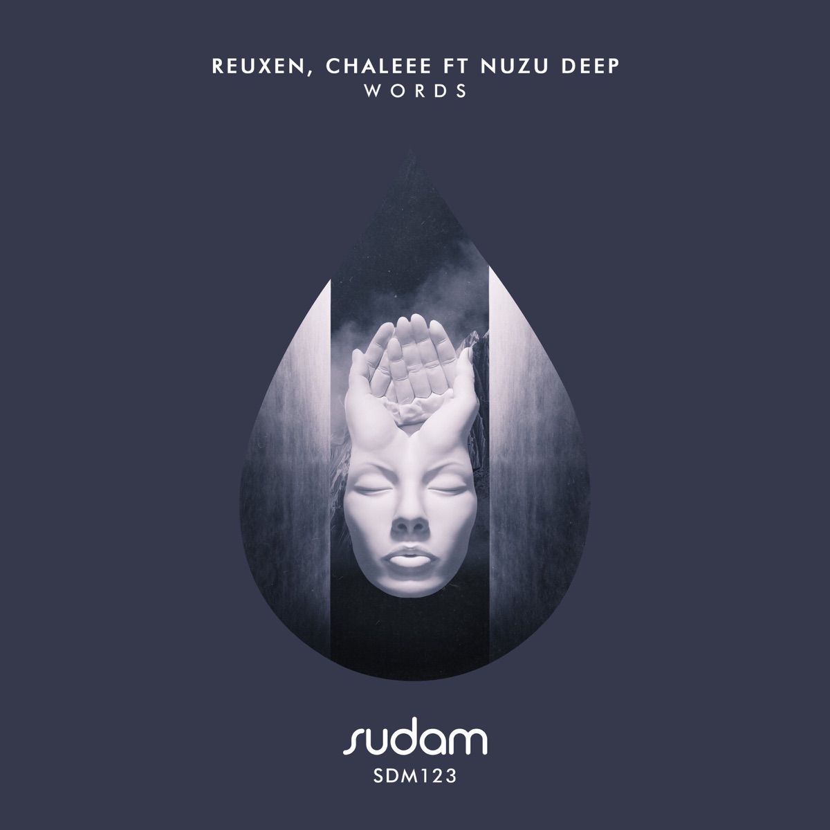 Words (feat. Nuzu Deep) - Single by Reuxen & Chaleee album cover