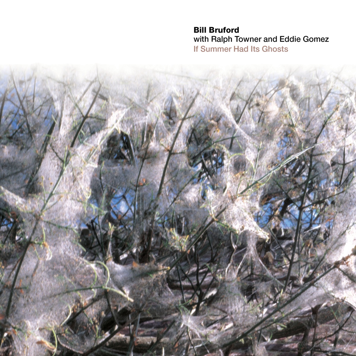 If Summer Had Its Ghosts by Bill Bruford album cover