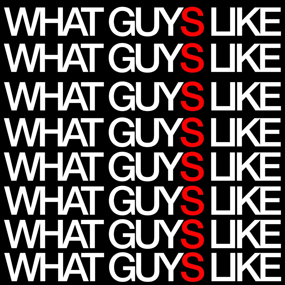 What Guys Like - Single by DJ Press Play album cover