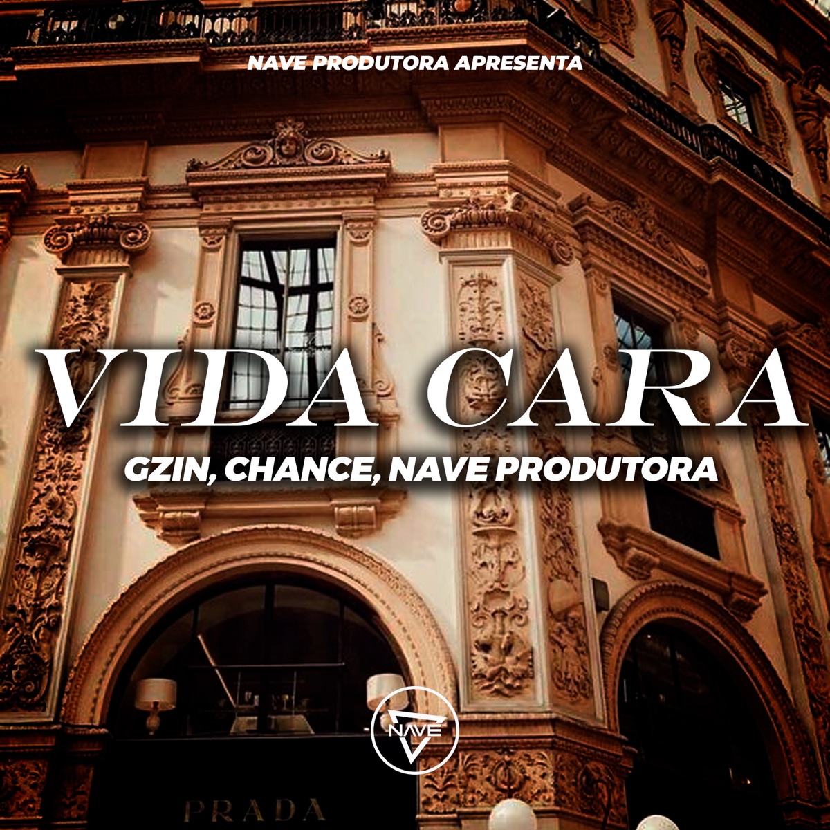 Vida Cara - Single by Gzin & Chance album cover